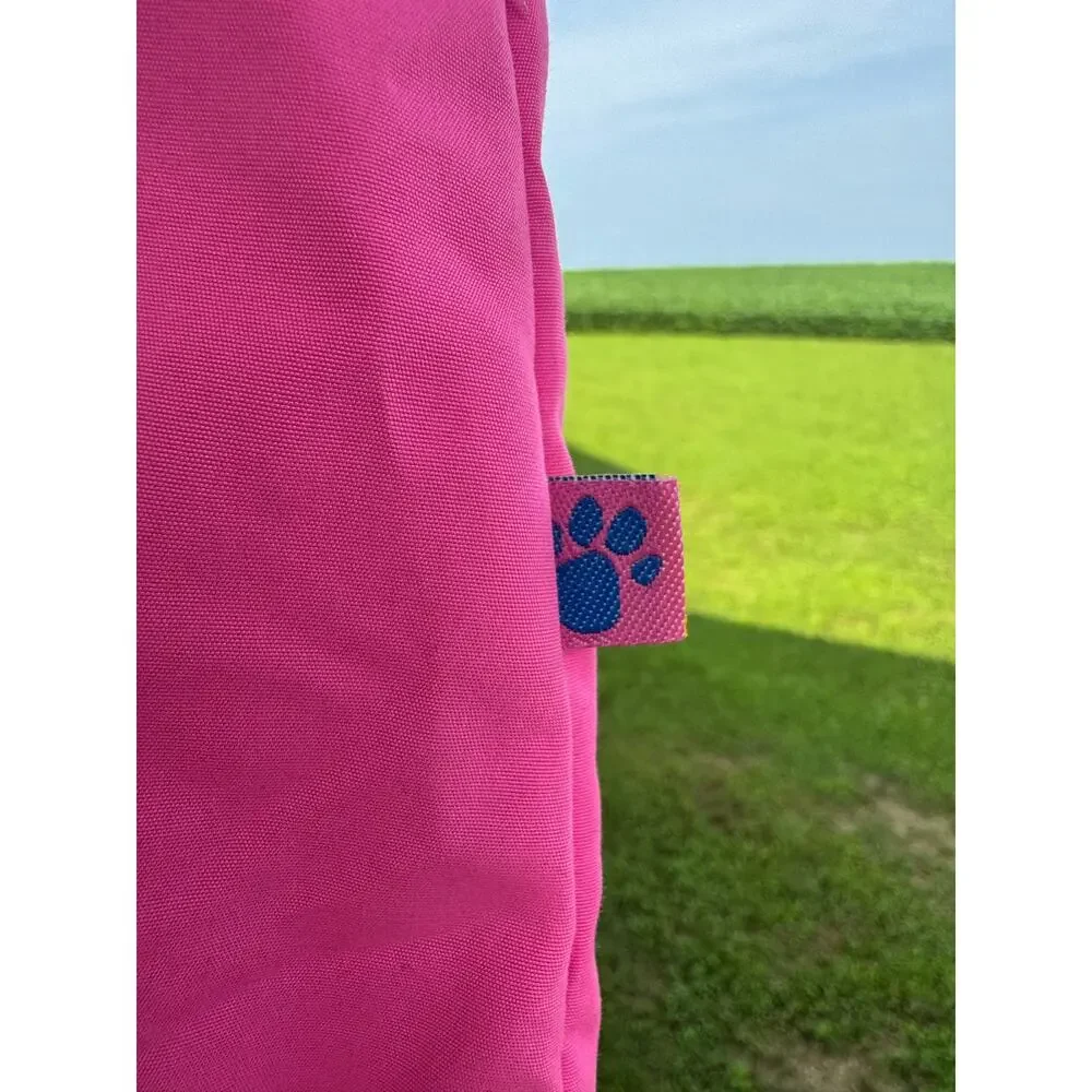 Blues Clues vintage blue